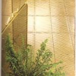 παλαιό πλακάκι