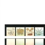 παλαιό πλακάκι