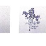 παλαιό πλακάκι